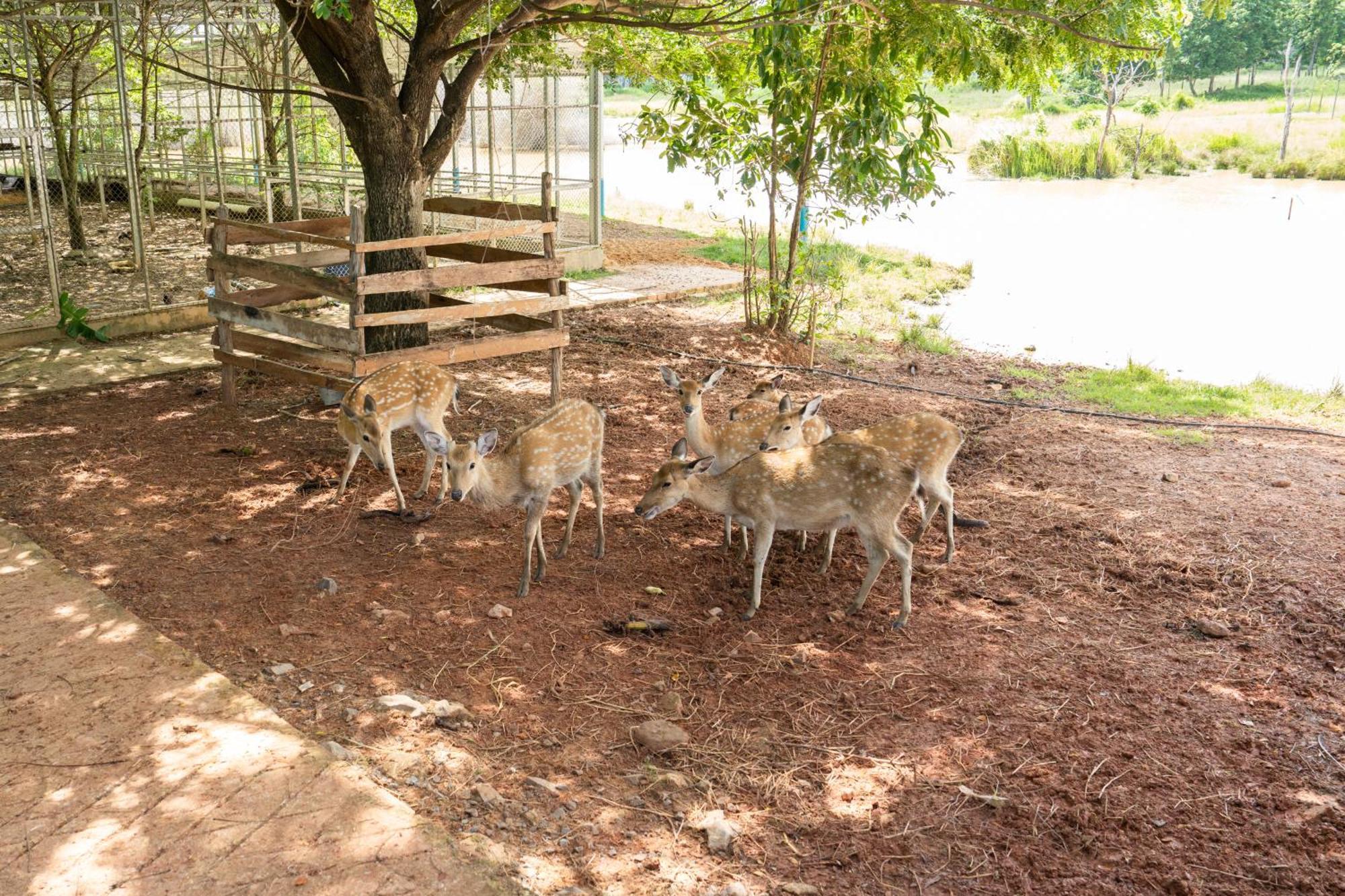 Phum Domnak Domrey Resort Chambok Luaran gambar